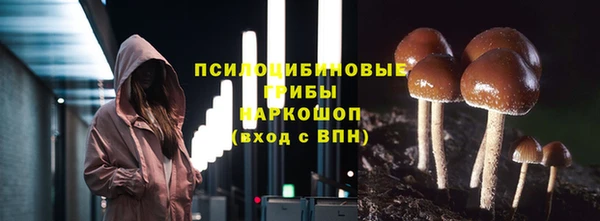 spice Армянск