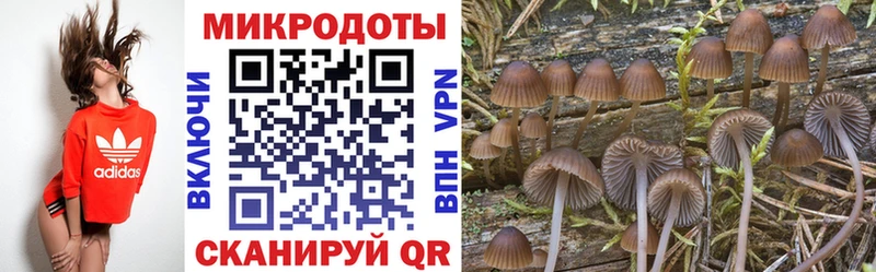 наркошоп  Бавлы  Псилоцибиновые грибы Psilocybine cubensis 